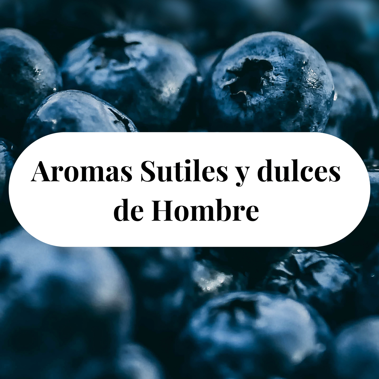 Perfumes Dulces y Sutiles de Hombre